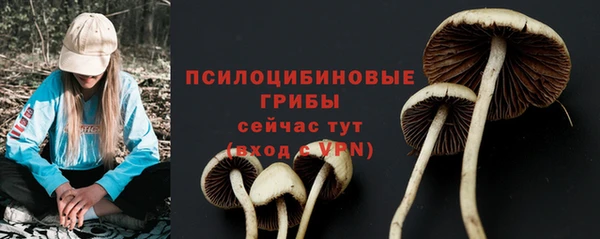 MDMA Premium VHQ Зеленодольск