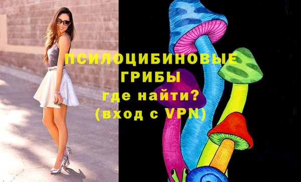 амф Зеленокумск